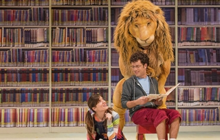 אריה הספריה – סל תרבות